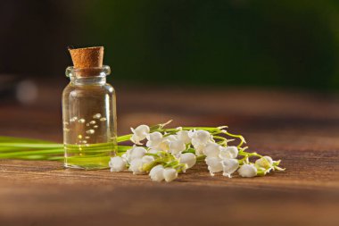 Güzel bir cam kavanozda, masanın üzerindeki çiçeklerin özü.