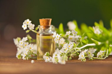 Güzel bir cam kavanozda, masanın üzerindeki çiçeklerin özü.