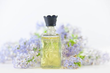 Çiçeklerin özü beyaz bir arka planda güzel bir cam kavanozda