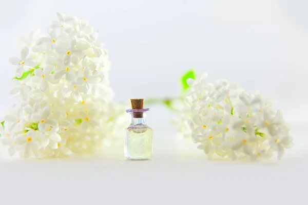 Esencia Flores Sobre Fondo Blanco Hermoso Frasco Vidrio — Foto de Stock
