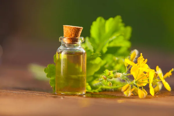 Esencia Las Flores Una Mesa Hermoso Frasco Vidrio — Foto de Stock