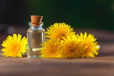 Karahindiba yağı masanın üstünde güzel bir şişede.