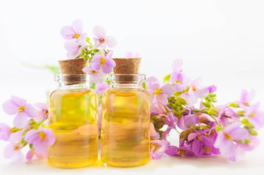 beyaz bir arka plan üzerinde güzel bir kavanoza uçucu yağ