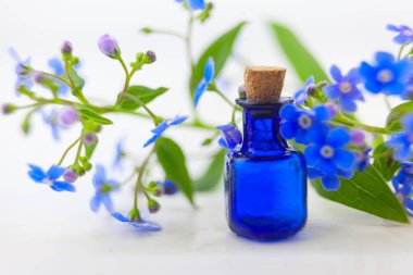 Çiçeklerin özü güzel bir cam şişede masanın üzerinde.