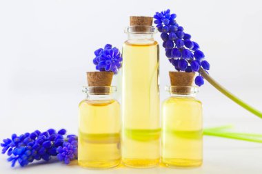 Masanın üzerinde güzel bir şişede duran muscari çiçeğinin temel yağı.