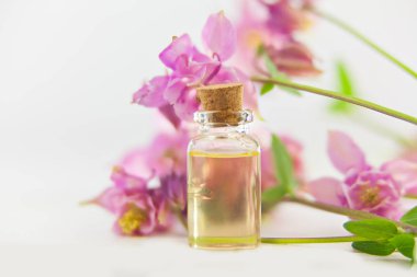 Güzel bir cam kavanozda, masanın üzerindeki çiçeklerin özü.