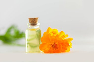 Güzel cam beyaz arka plan üzerinde çiçek özü