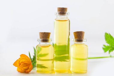 Güzel cam beyaz arka plan üzerinde çiçek özü