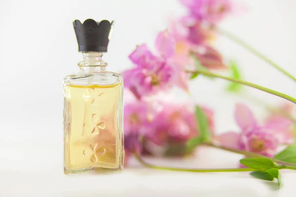 Essence Flowers Table Beautiful Glass Jar — Stock Photo, Image