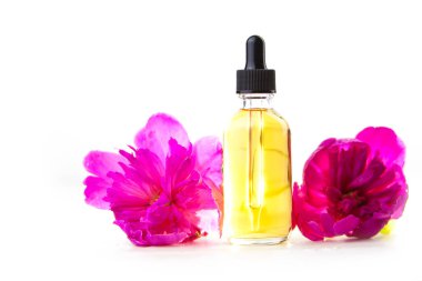 Çiçeklerin özü güzel bir cam şişede masanın üzerinde.