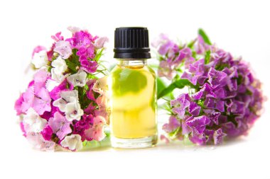 Güzel bir cam kavanozda, masanın üzerindeki çiçeklerin özü.