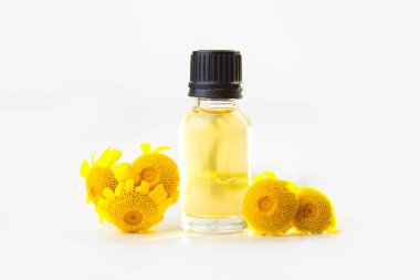 Çiçeklerin özü güzel bir cam şişede masanın üzerinde.