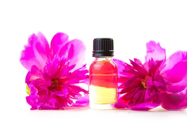 Esencia Flores Sobre Una Mesa Una Hermosa Botella Vidrio — Foto de Stock