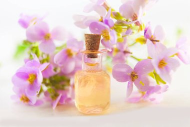 beyaz bir arka plan üzerinde güzel bir kavanoza uçucu yağ