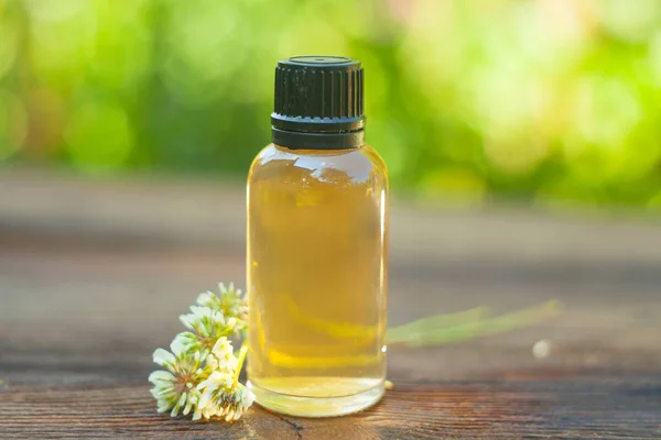 Essentie Van Bloemen Een Tafel Een Mooie Glazen Pot — Stockfoto