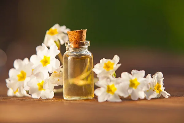 Small glass bottle with essential jasmine oil (tincture, infusion, perfume)  on the white background. Jasmine flowers close up. Aromatherapy, spa and  herbal medicine ingredients. Side view, copy space. Stock Photo