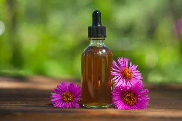 Aster Essential Oil Beautiful Bottle Table — Stock Photo, Image