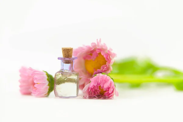 Essence Flowers Table Beautiful Glass Jar — Stock Photo, Image