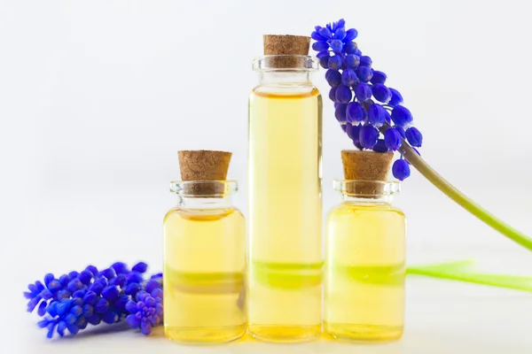 Aceite Etérico Flor Muscari Sobre Mesa Botella Hermosa — Foto de Stock