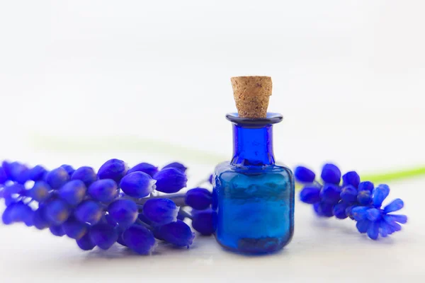 Eteerinen Öljy Muscari Kukka Pöydällä Kauniissa Pullossa — kuvapankkivalokuva