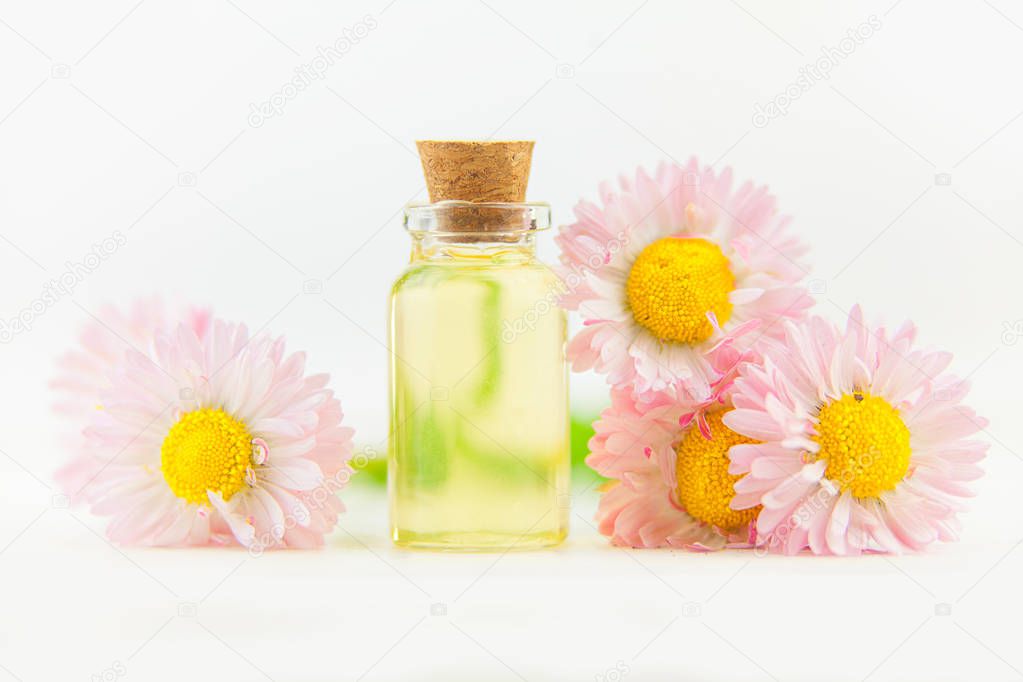 Solstzia