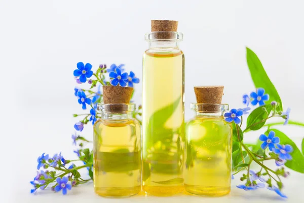 Esencia Flores Sobre Fondo Blanco Hermoso Frasco Vidrio — Foto de Stock