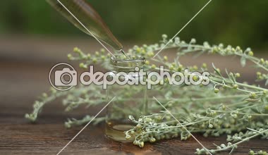 Güzel cam şişe içinde masaya pelin çiçek özü