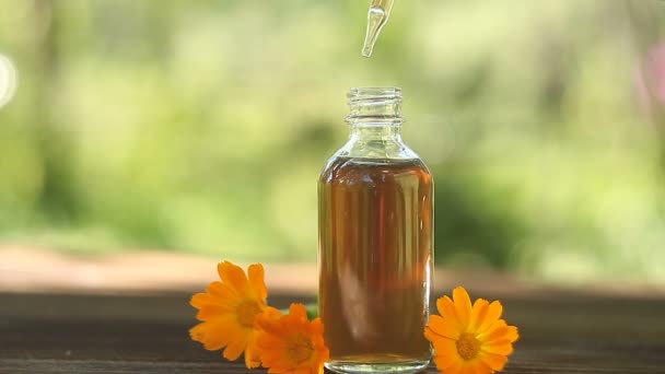 Essence Flowers Table Beautiful Glass Jar — Stock Video