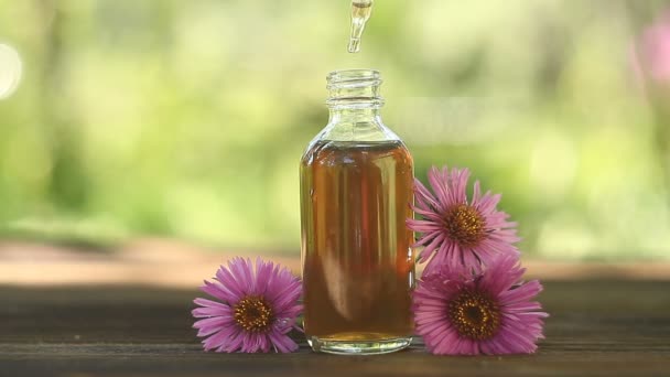 Aster Essential Oil Beautiful Bottle Table — Stock Video