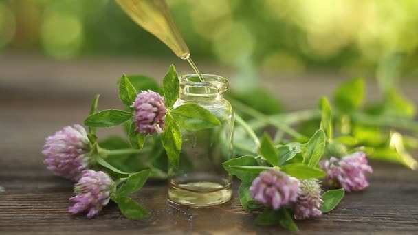 Essenz Der Blumen Auf Dem Tisch Schönen Glas — Stockvideo