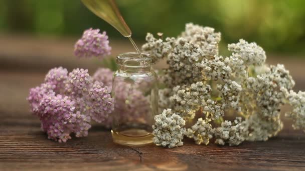 Essenza Fiori Sul Tavolo Bellissimo Vaso Vetro — Video Stock