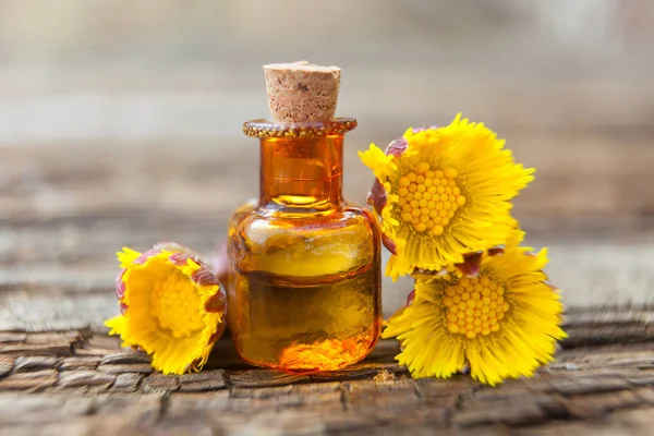 Aceite Esencial Pie Potro Una Hermosa Botella Sobre Mesa — Foto de Stock