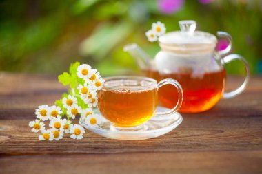 green tea with chamomile in beautiful cup clipart