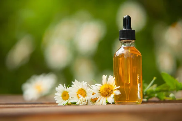 Essence Flowers Table Beautiful Glass Jar — Stock Photo, Image