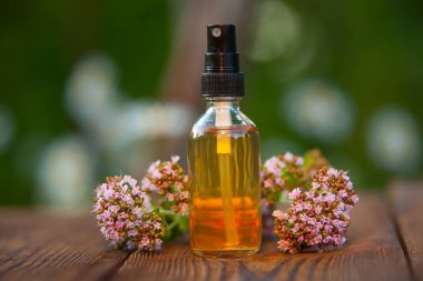 Çiçeklerin özü güzel bir cam şişede masanın üzerinde.