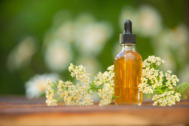 Güzel bir cam kavanozda, masanın üzerindeki çiçeklerin özü.