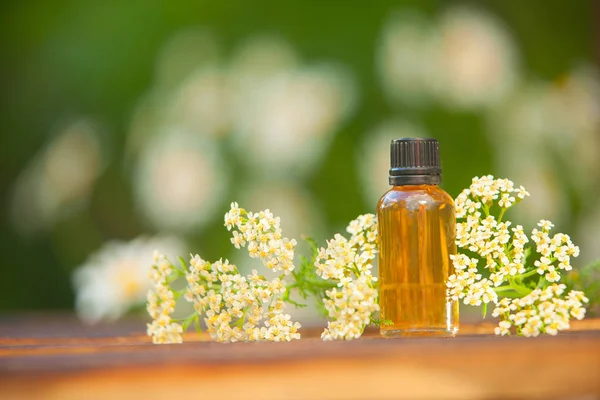 Esencia Las Flores Una Mesa Hermoso Frasco Vidrio — Foto de Stock