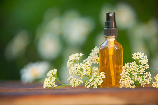 Essentie Van Bloemen Een Tafel Een Mooie Glazen Pot — Stockfoto