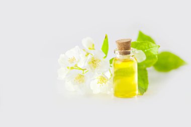 Çiçeklerin özü beyaz bir arka planda güzel bir cam kavanozda