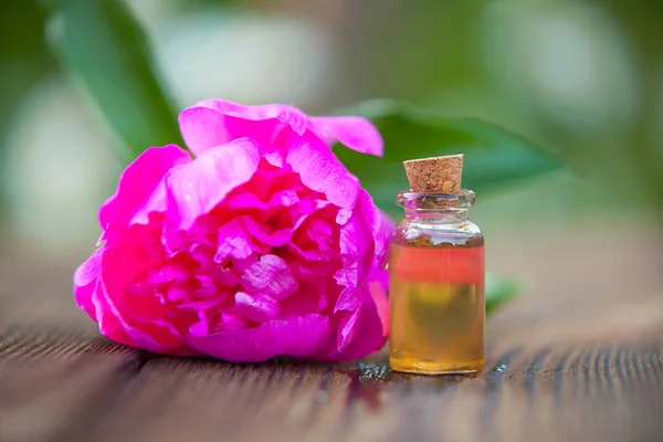 Esencia Flores Sobre Una Mesa Una Hermosa Botella Vidrio — Foto de Stock