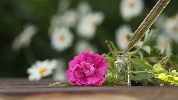 在美丽的玻璃罐子里的桌子上的花的本质 — 图库视频影像
