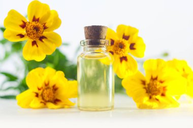 kadife çiçeği esans beyaz zemin üzerine güzel bir şişe