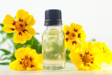 kadife çiçeği esans beyaz zemin üzerine güzel bir şişe