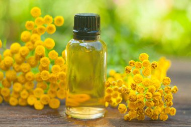 tansy essential oil in a beautiful bottle on the table clipart