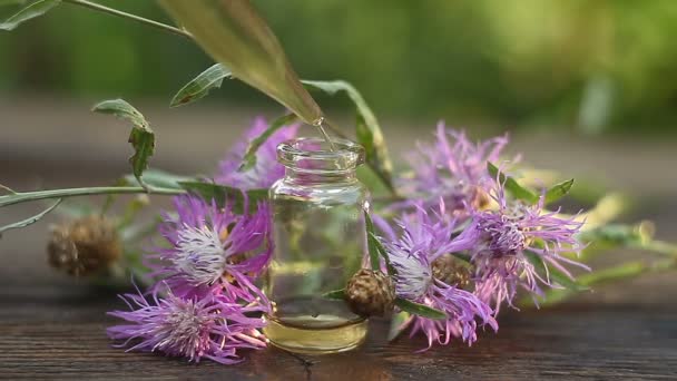 Essência Flores Lavanda Mesa Bela Garrafa Vidro — Vídeo de Stock