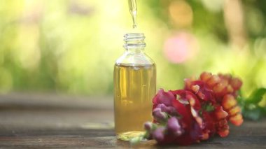 Antirrhinum esaslı yağı masada güzel bir şişede.