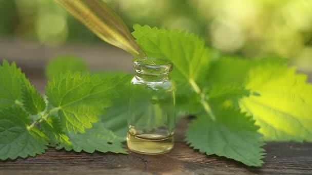 Nettle Essential Oil Beautiful Bottle Table — Stock Video