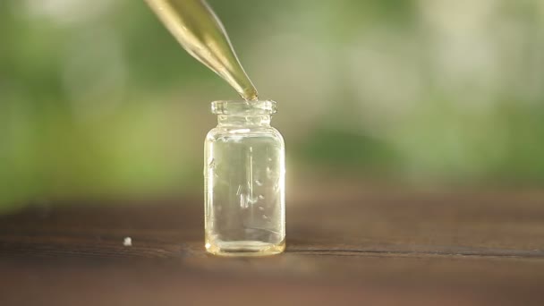 Essence Flowers Table Beautiful Glass Jar — Stock Video