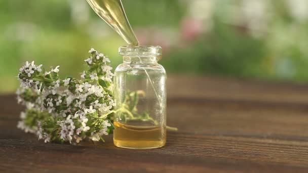 Aceite Esencial Tomillo Una Hermosa Botella Mesa — Vídeos de Stock