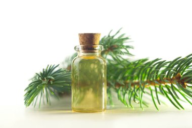 Güzel cam masada çam özü